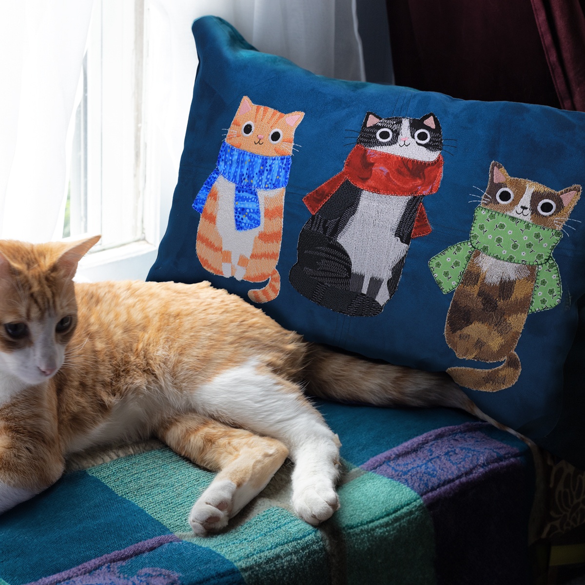 Cozy Cats by Planet Cat by Angie Rozelaar