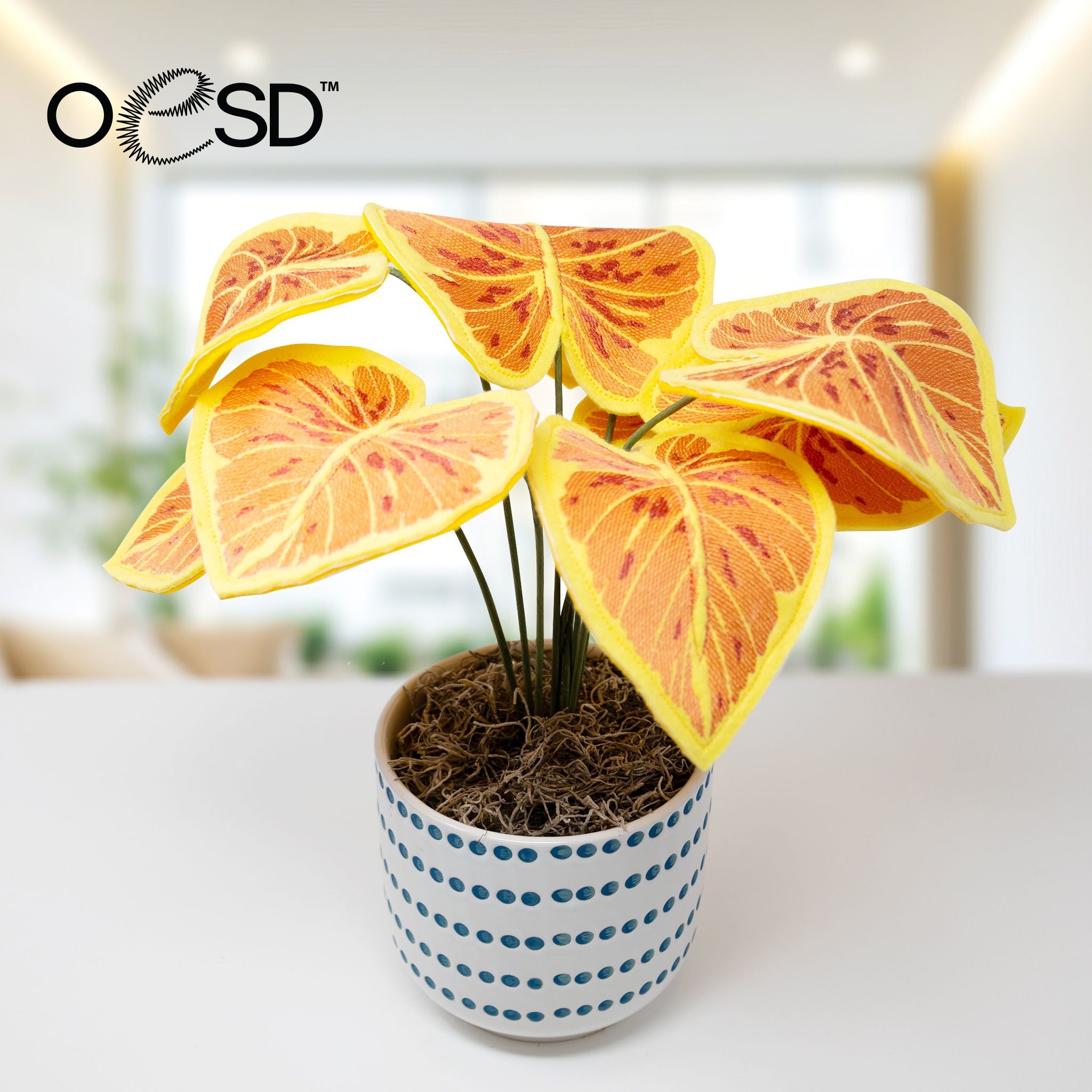 Freestanding Houseplants 2