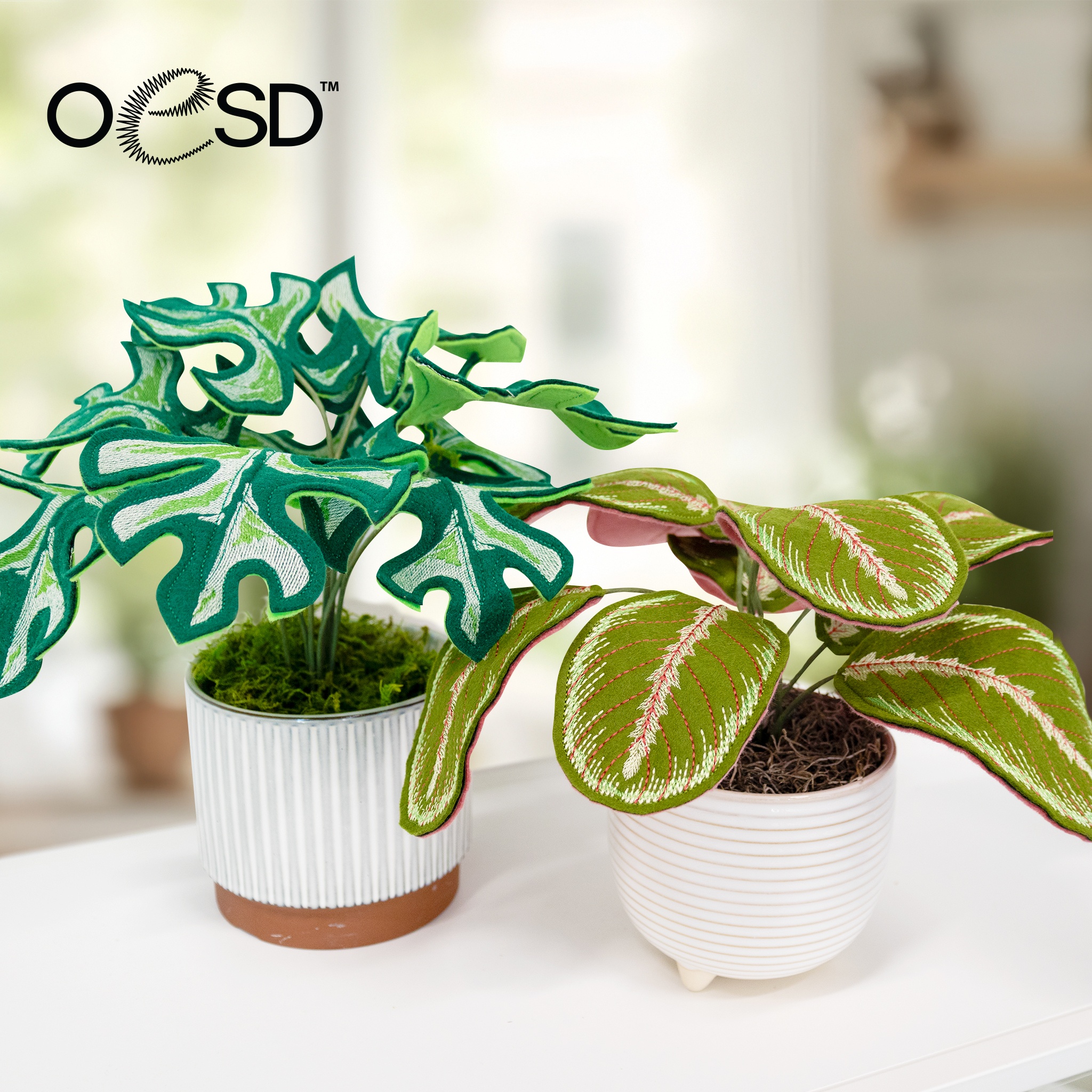 Freestanding Houseplants 2