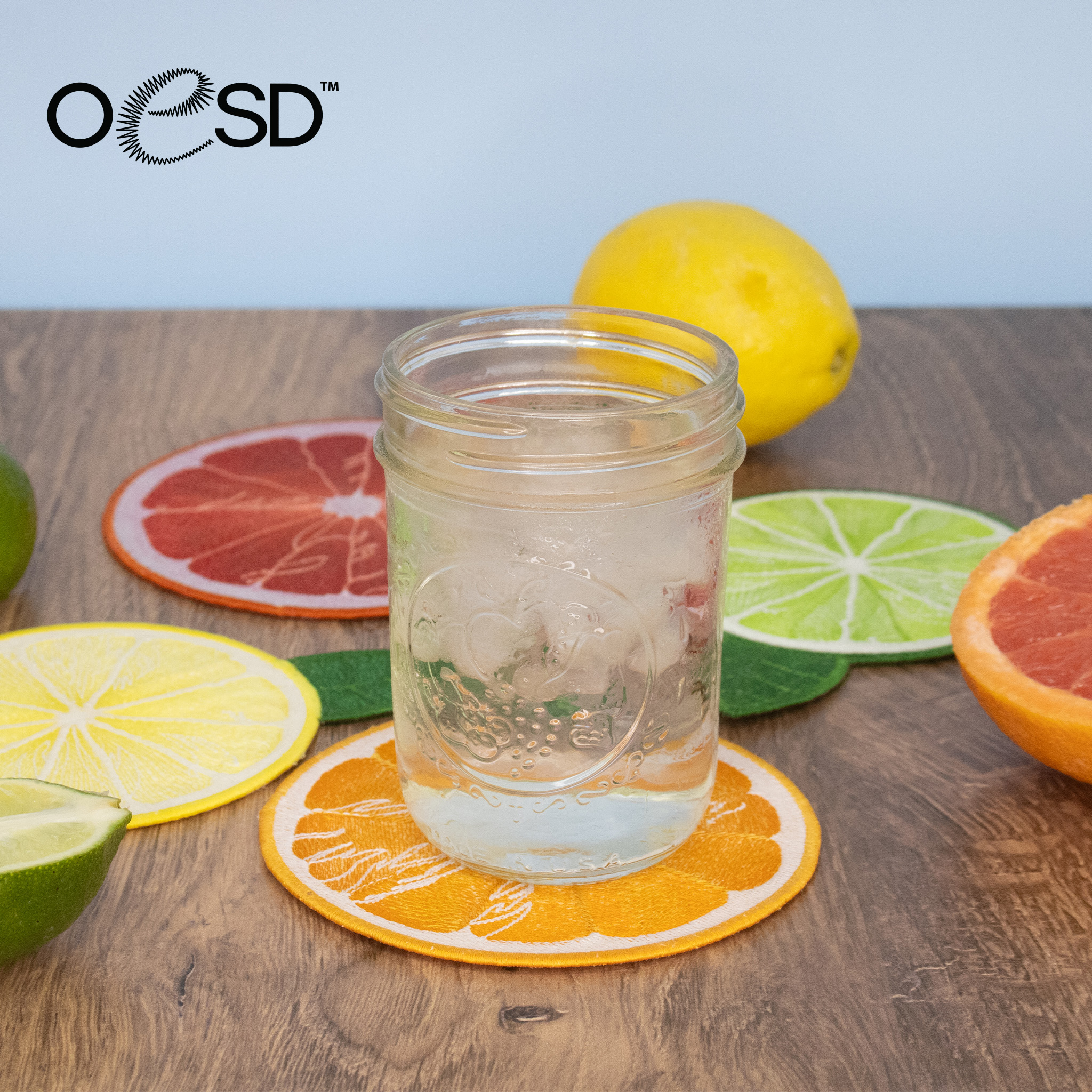 ♡citrus⭐︎♡ Citrus Coasters