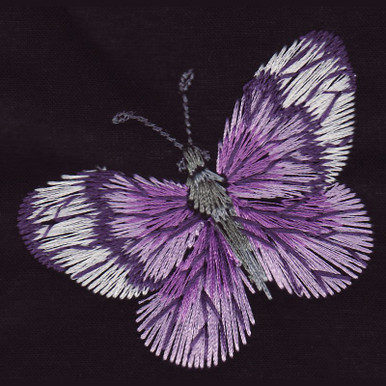 dark purple butterfly dark purple butterfly