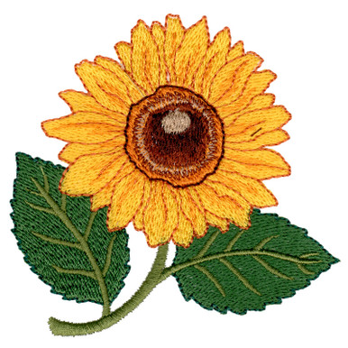 Single Sunflower