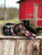 Vi Vante Leather adjustable pattern Gaucho Camera Neck Strap Argentina Brown Red Wood Barn