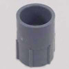 1/2" (1/2PVC FE ADPT) PVC Female Adapter - Schedule 40