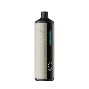 Lost Mary X Urban Tale E-Hookah 26K Saudi Champagne