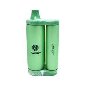 Miami Mint Disposable Vape - Flamingo SKB25000