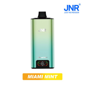 Miami Mint Disposable Vape - JNR Big Mac 100K