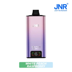 White Peach Raspberry Disposable Vape - JNR Big Mac 100K 