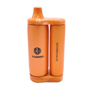Watermelon Ice Disposable Vape - Flamingo SKB25000