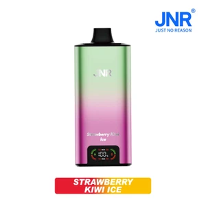 Strawberry Kiwi Ice Disposable Vape - JNR Big Mac 100K