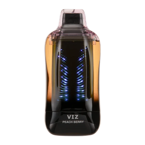 Peach Berry Disposable Vape - Lost Mary Viz 55K