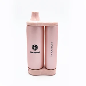 Juicy Peach Ice Disposable Vape - Flamingo SKB25000