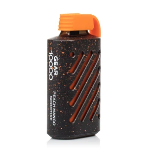 Peach Mango Smoothie Disposable Vape - Vozol Gear 10000