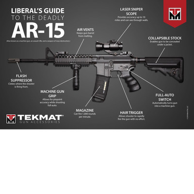 Liberals Guide to the AR-15 Poster