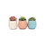 AGAMI Stylish Plant Container Set