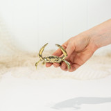 Crab (XS) Gold  #0106