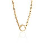 large capsule chain link gold necklace