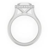 signature-ring