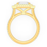 signature-ring