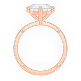 signature-ring