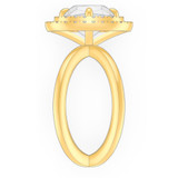 signature-ring