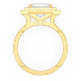 signature-ring