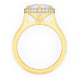 signature-ring