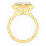 signature-ring