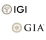 igi-logo