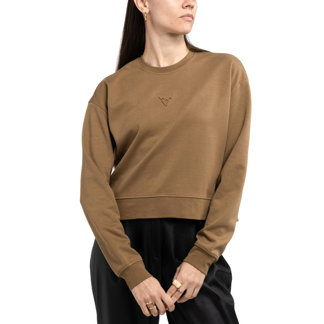 Crewneck Sweatshirt – Crop Top model