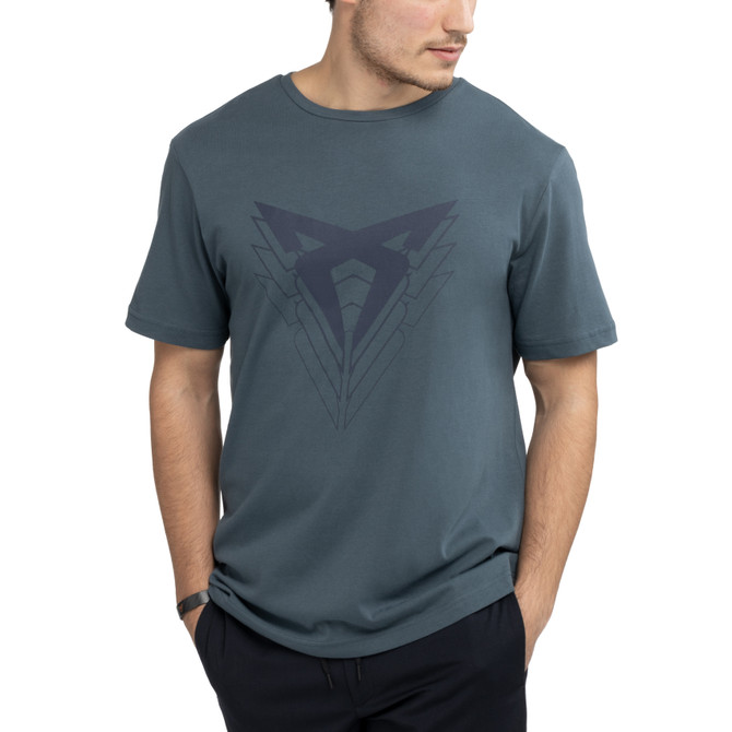 Big Logo T-Shirt – Standard grey model