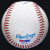 Mickey Mantle HOF 74 Signed OAL Baseball PSA/DNA LOA Graded 8