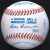 Ted Williams Signed Official American League Baseball JSA LOA Graded MINT 9