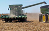 Everything You Need to Know About the Stalk Devastator