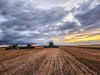 Getting Your Combine Grain Head Ready For Soybean Harvest in 5 Steps