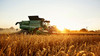 Harvest Season Maintenance: Keeping Your Combines in Top Shape