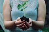 Why Is Topsoil Crucial For Agriculture