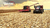 Transform Your Harvest with the Yetter 5000 Stalk Devastator: Protect Tires, Speed Up Residue Breakdown Transform Your Harvest with the Yetter 5000 Stalk Devastator: Protect Tires, Speed Up Residue Breakdown