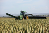 What Is Crop Rotation and Why Is It Important?
