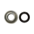 Ball Bearing; 84814912