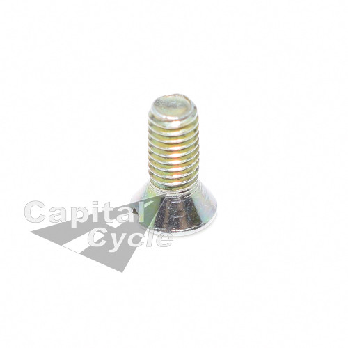 BING Carb Top Screw - Stainless Steel - Capital Cycle