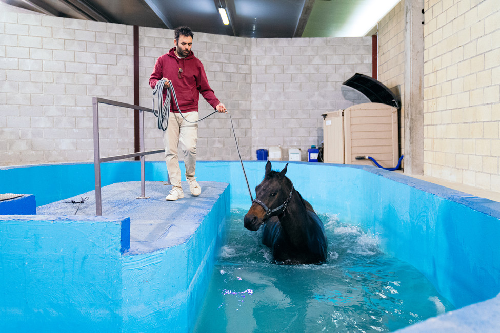 AQUATIC THERAPY, IT’S NOT JUST FOR HUMANS ANYMORE