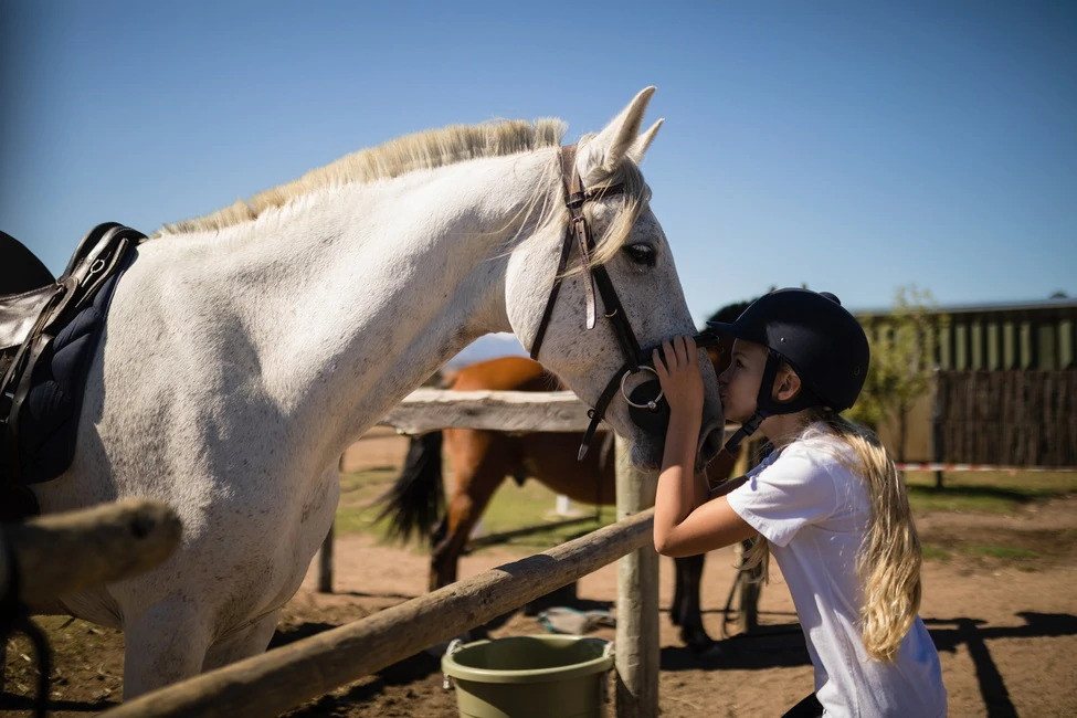 Stop Pampering Your Pony: 3 Things You Can Do For You