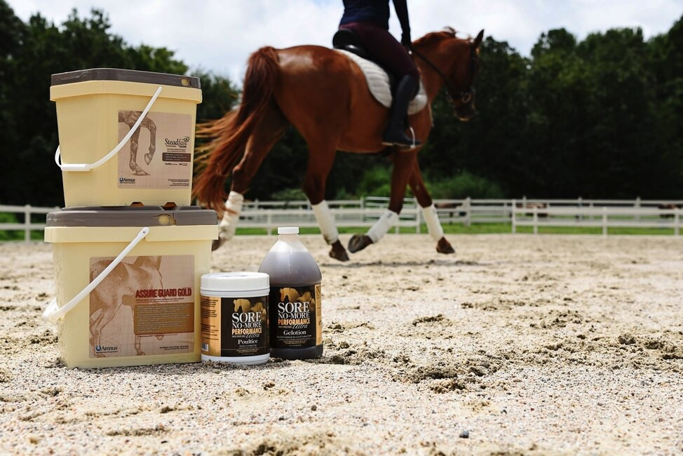 Best Horse Supplements Arenus Animal Health Canada