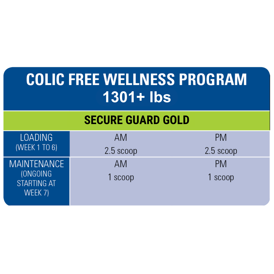 free-wellness-program-1301lb