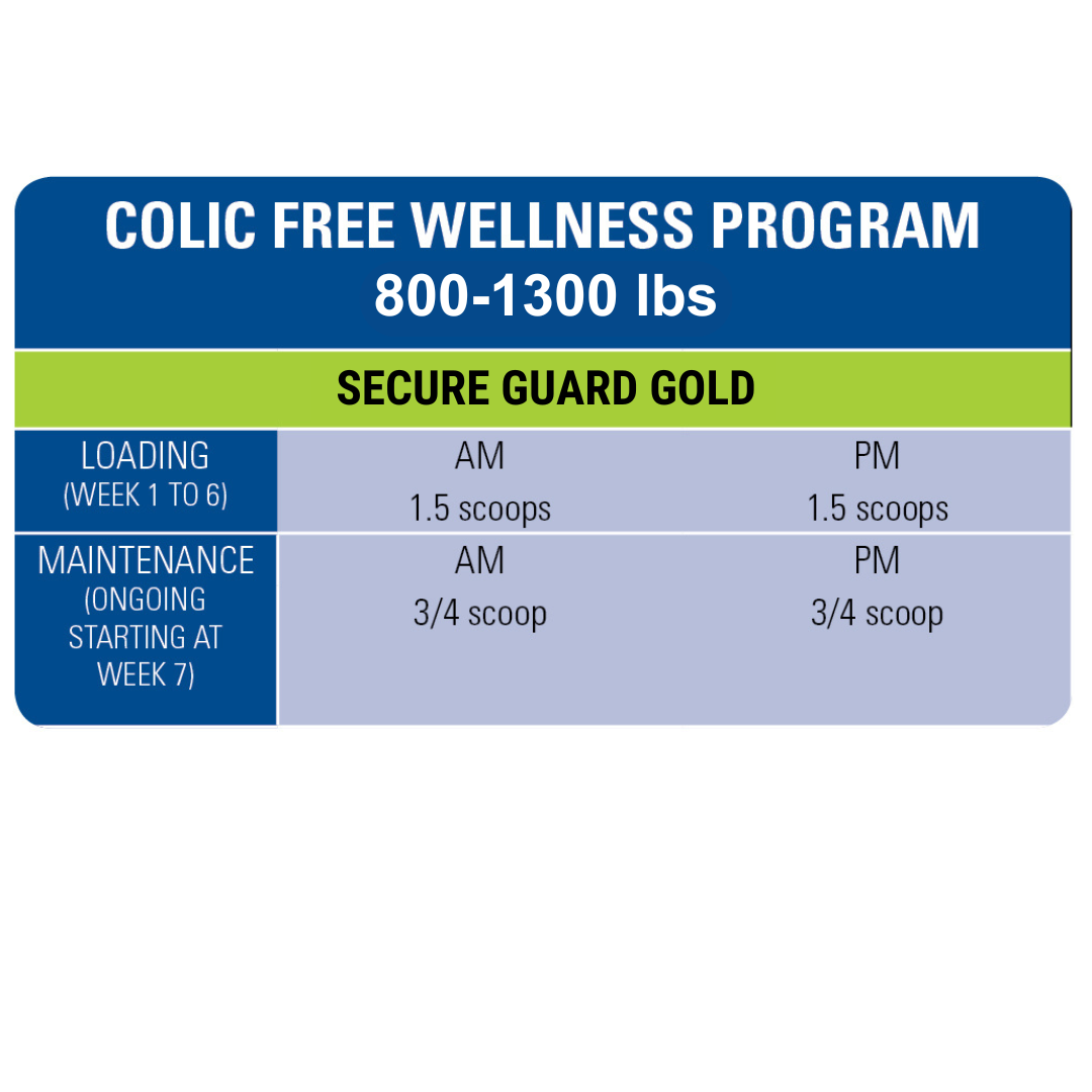 free-wellness-program-800-1300l