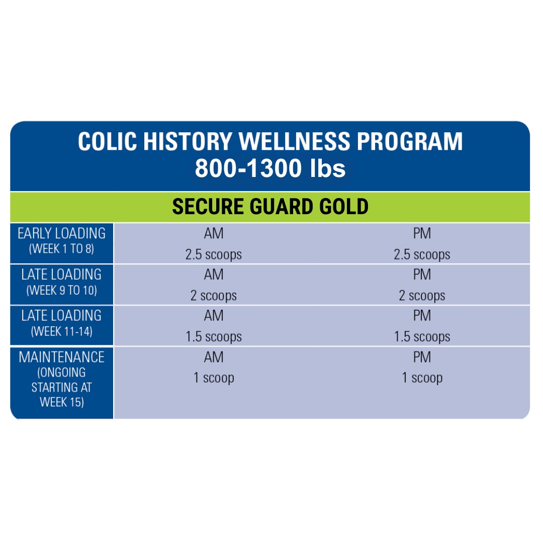 free2-wellness-program-800-1300
