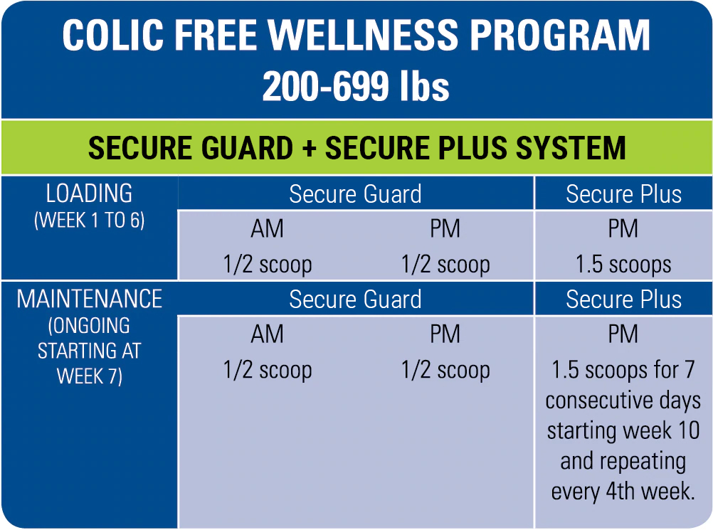 free-wellness-program-200-699