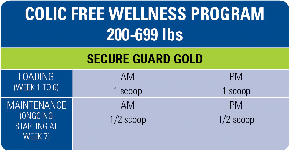 free1-wellness-program-200-699