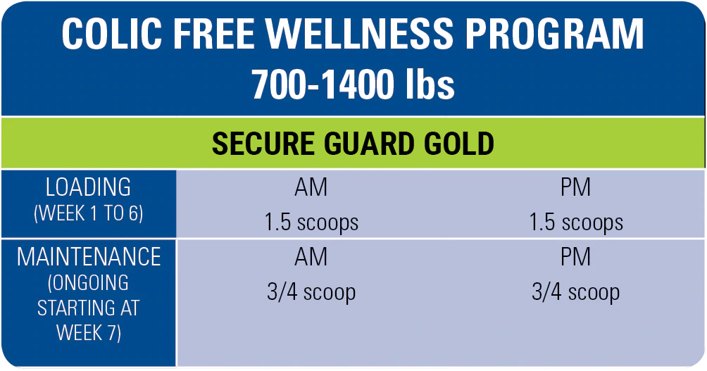 free2-wellness-program-700-1400